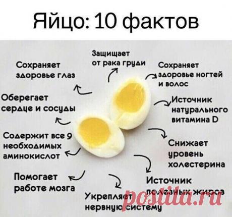 Интересные факты, на заметку!