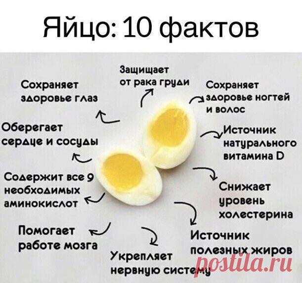 Интересные факты, на заметку!