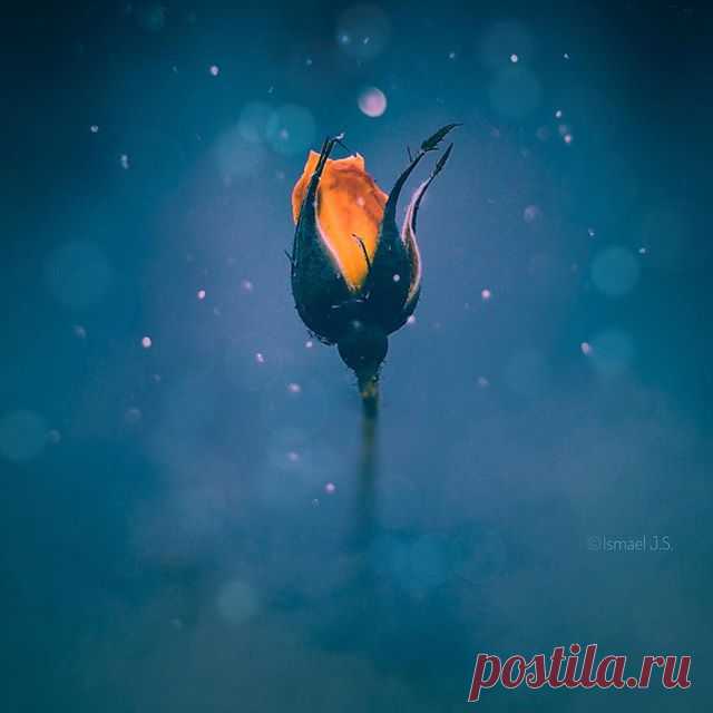 #mextures #nature_perfection #rsa_mextures #sombresociety #quest_4_magic #follow_the_grey_sky #marvelouz_world #mexturezdelight #sombrescapes #gottalove_a_ #mellow_mosaic #moody_way #m3xtures  #ig_eternity  #artistry_flair #the_mirror_of_our_souls #soulful_moments #ethereal_moods #pr0ject_uno #thedarkpr0ject #retroluxaholics #emotional_dark_pictures #dreamland_arts_of_nature #moody_tones  #moody_pixels #tv_allnature #natures_marvels  #bns_nature #macro_brilliance #9vaga_moody9