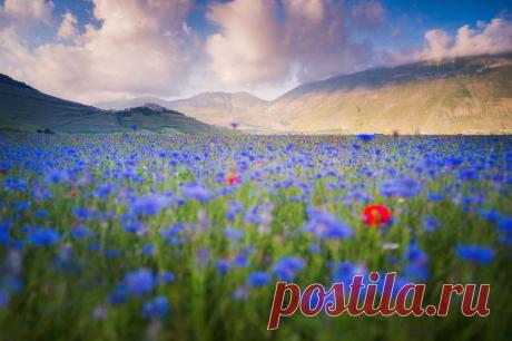 Умиротворяющие пейзажи с разных уголков планеты Алессио Андреани (Alessio Andreani) — Фотоискусство