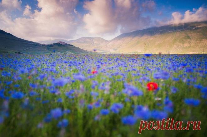 Умиротворяющие пейзажи с разных уголков планеты Алессио Андреани (Alessio Andreani) — Фотоискусство