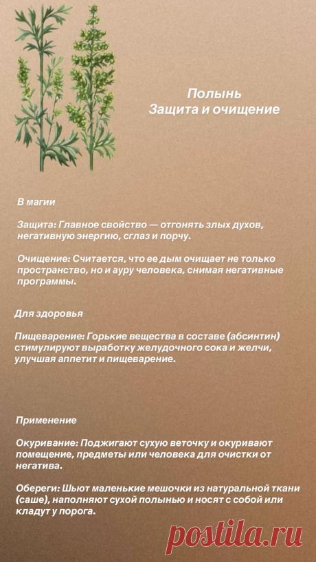 Полынь защита и очищение