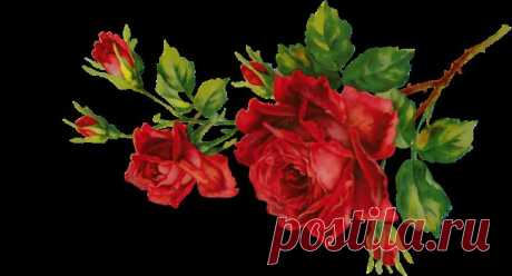 Плейкаст «Ты лети голубок...»