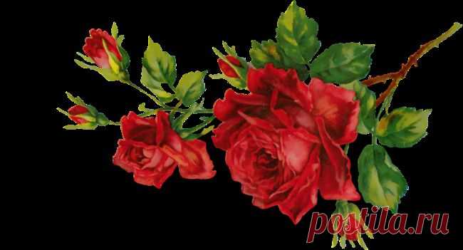 Плейкаст «Ты лети голубок...»