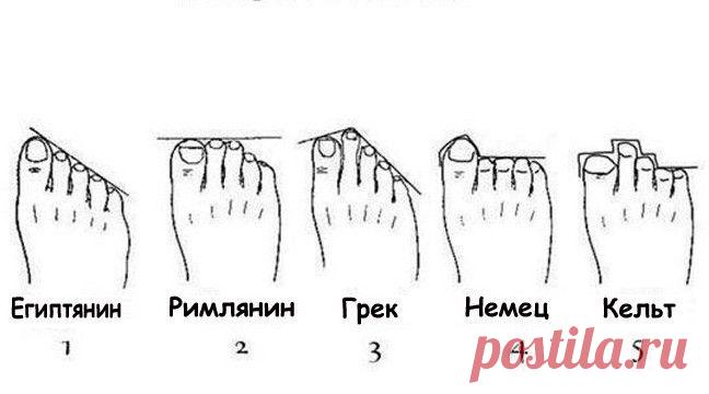 Узнайте о своем происхождении по пальцам стопы! Оказывается, я римлянка! А вы? Прочитаете и вы будете в шоке!! точность на 90-95%! Проверьте себя и друзей, так ли это! | Узнал сам - расскажи другому.