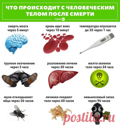 Что происходит с человеческим телом