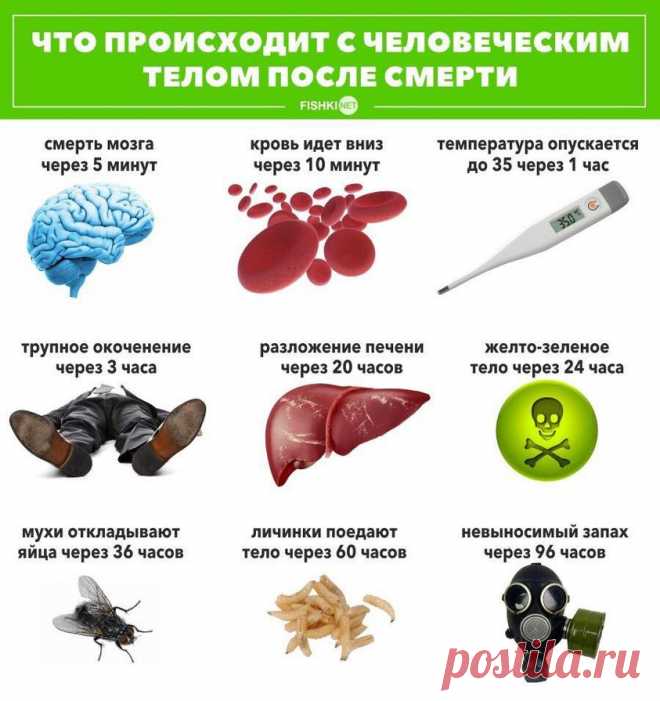 Что происходит с человеческим телом