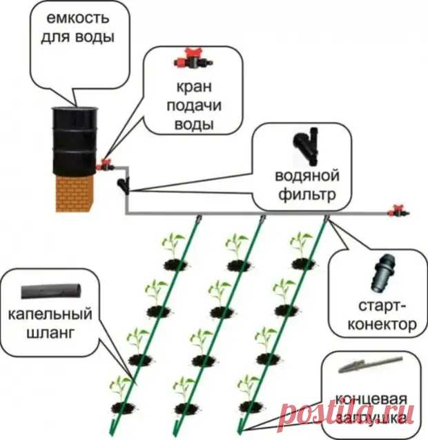 Инструкция по монтажу капельного полива в теплице своими руками - Наша дача - медиаплатформа МирТесен Капельный полив в теплице: как сделать своими руками
Как сделать капельный полив своими руками: инструкция + видео
Капельная лента своими руками — как выбрать и сделать
Полив огорода капельным путем своими руками | Сделай всё сам
Капельные системы полива своими руками - инструкция и схема
Капельное орошение своими руками для теплицы: пошаговая инструкция
Как самому сделать капельную ленту для …