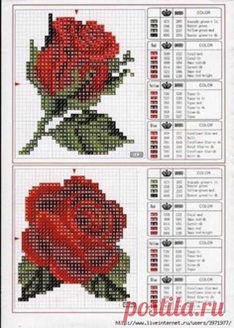 Схема вышивки роз крестиком бисером