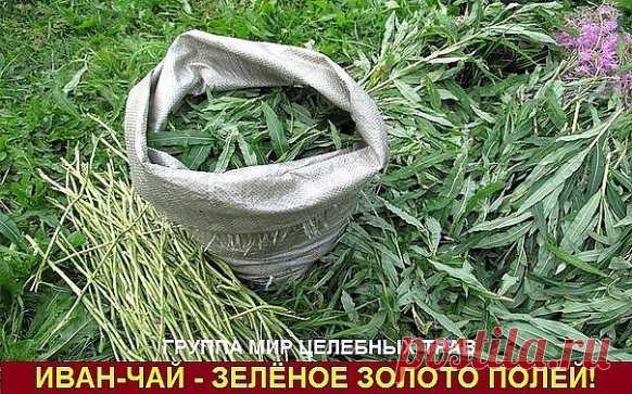 (16) Одноклассники