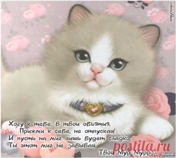 Скучаю.Возьми меня прижми к себе.
МурМур!
 Красивые картинки и открытки  vk.com/fotomimi