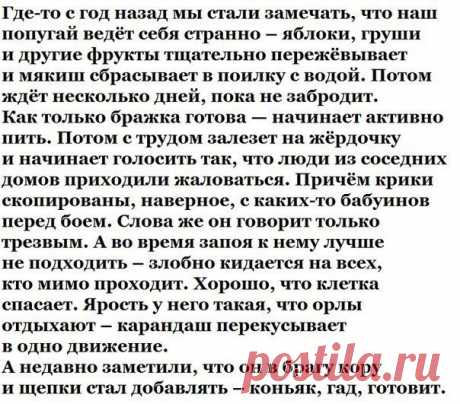 11 ноября 2018: allanhan