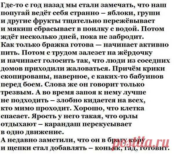 11 ноября 2018: allanhan