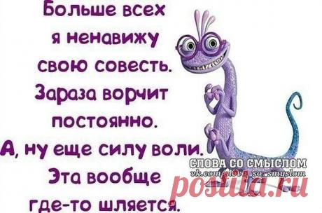 Интересные новости