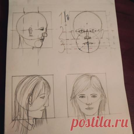 Экономим время - как научится рисовать лицо по пропорциям | Step by step | Яндекс Дзен