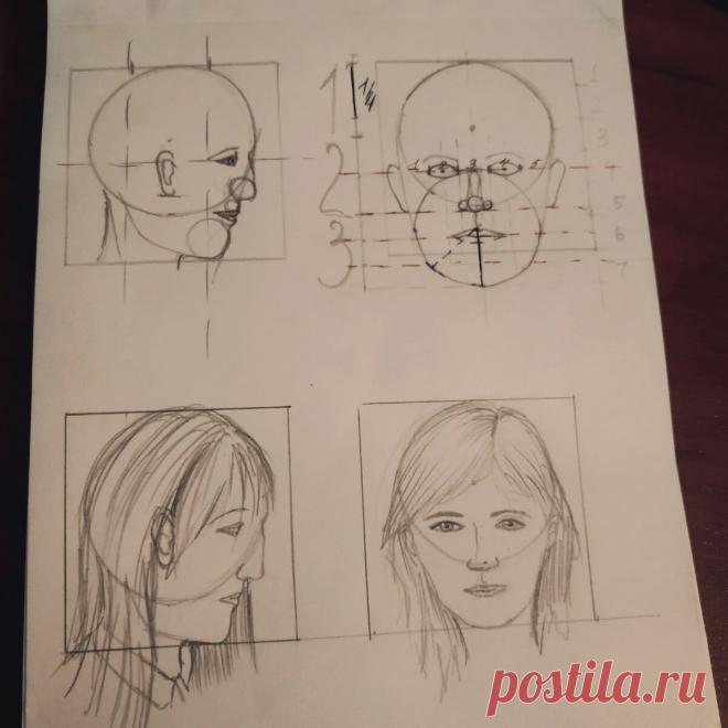 Экономим время - как научится рисовать лицо по пропорциям | Step by step | Яндекс Дзен