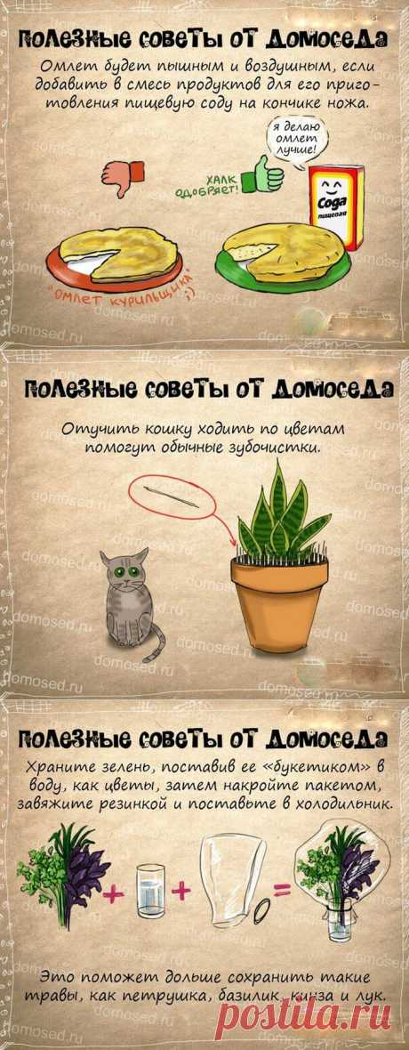 Супер полезные советы.