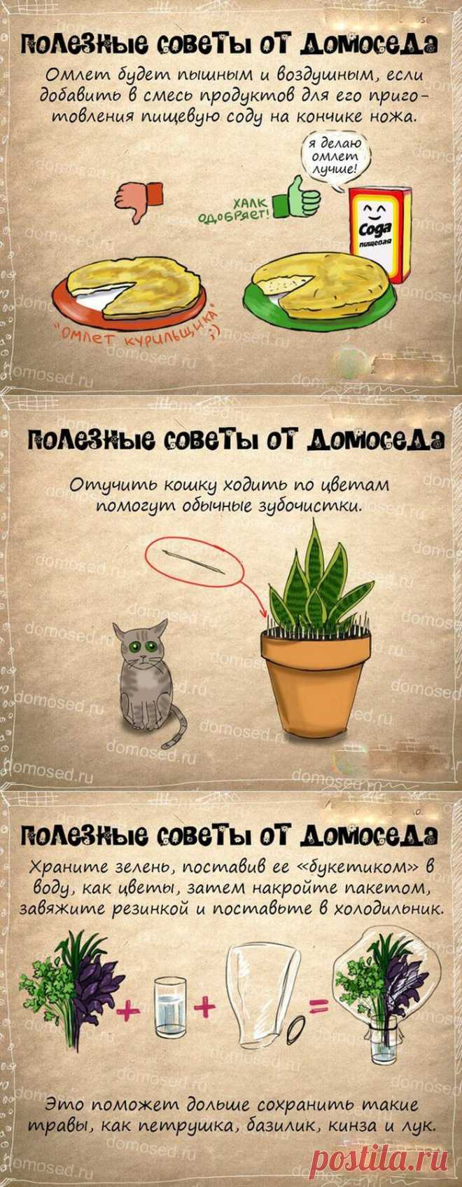 Супер полезные советы.