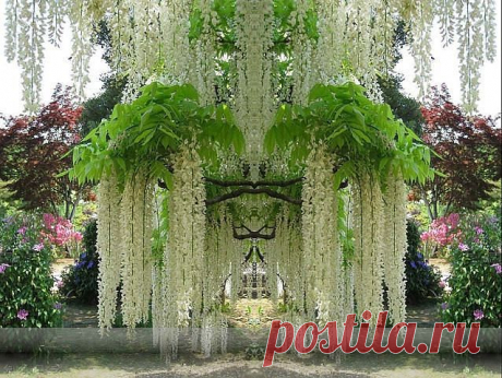 ХОЗЯЮШКА  И БЕРЕГИНЯ
✿ ˙·•●♥●ღНаталья ✿ ˙·•●♥●ღ