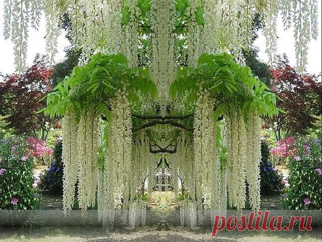 ХОЗЯЮШКА  И БЕРЕГИНЯ
✿ ˙·•●♥●ღНаталья ✿ ˙·•●♥●ღ