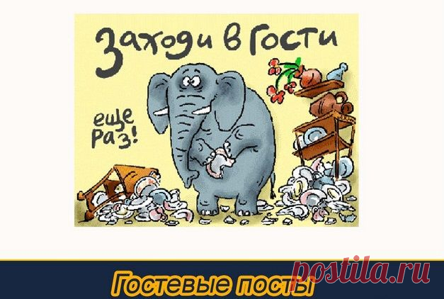 События в жизни блоггера. Коротко о главном. | gid-informportal.ru