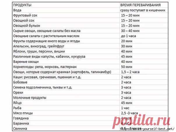 Время переваривания пищи в желудке человека.