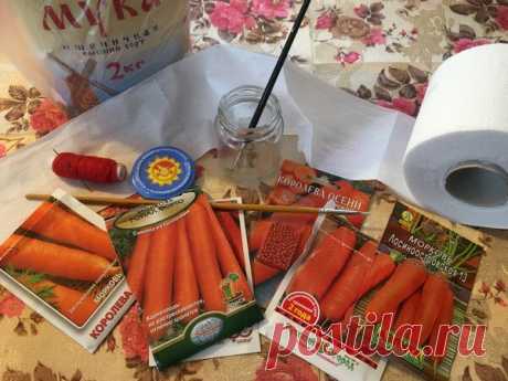 Морковь: мой уникальный "без бороздок" метод посадки | Есть время под солнцем | Яндекс Дзен