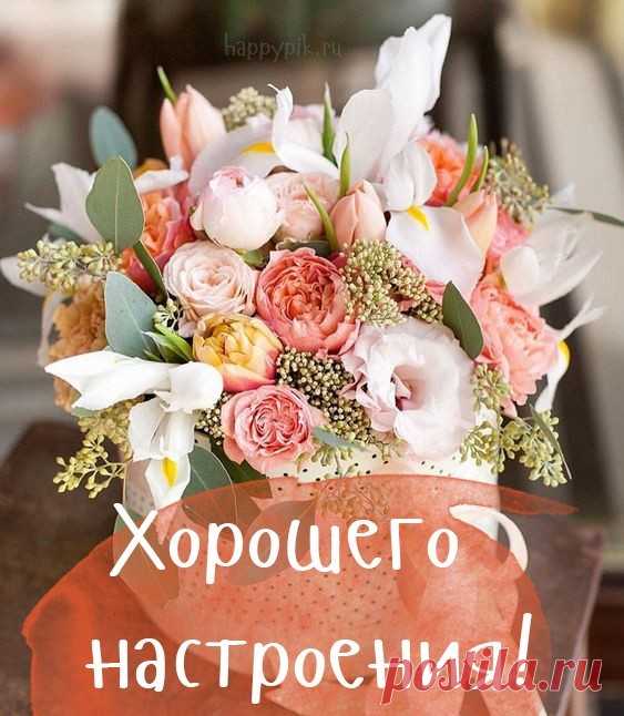 Хорошего дня картинки. Более 50 открыток хорошего дня.