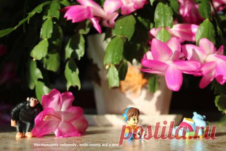 Любой ценой - знать всё.