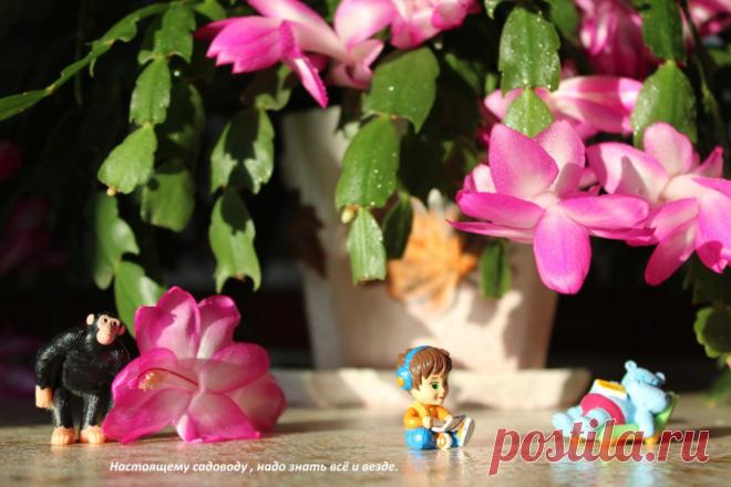 Любой ценой - знать всё.