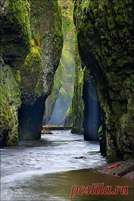 Удивительный мир природы / nature – Google+