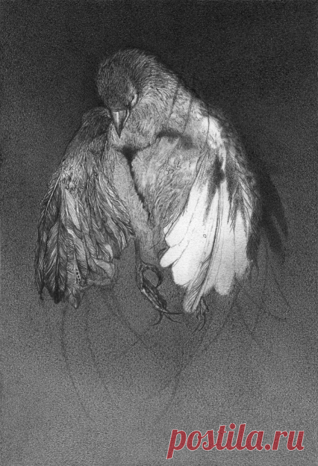 Le illustrazioni noir di Alejandro García Restrepo - Organiconcrete