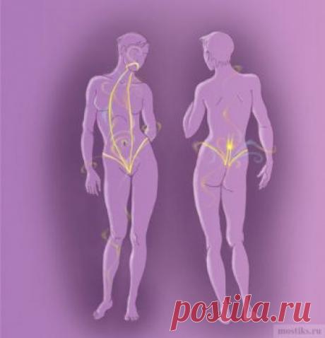 2 ВАЖНЕЙШИХ УПРАЖНЕНИЯ ДЛЯ ДОЛГОЛЕТИЯ! | Сайт для любознательных