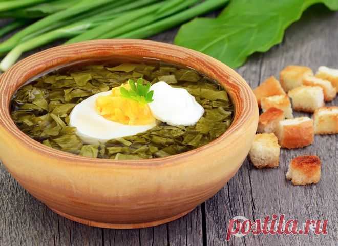 Щавелевый суп: рецепт на курином бульоне - tochka.net