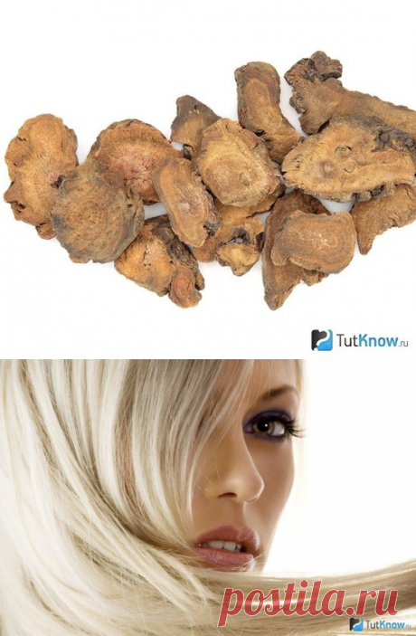 Отвар ревеня: идеальный природный краситель для волос