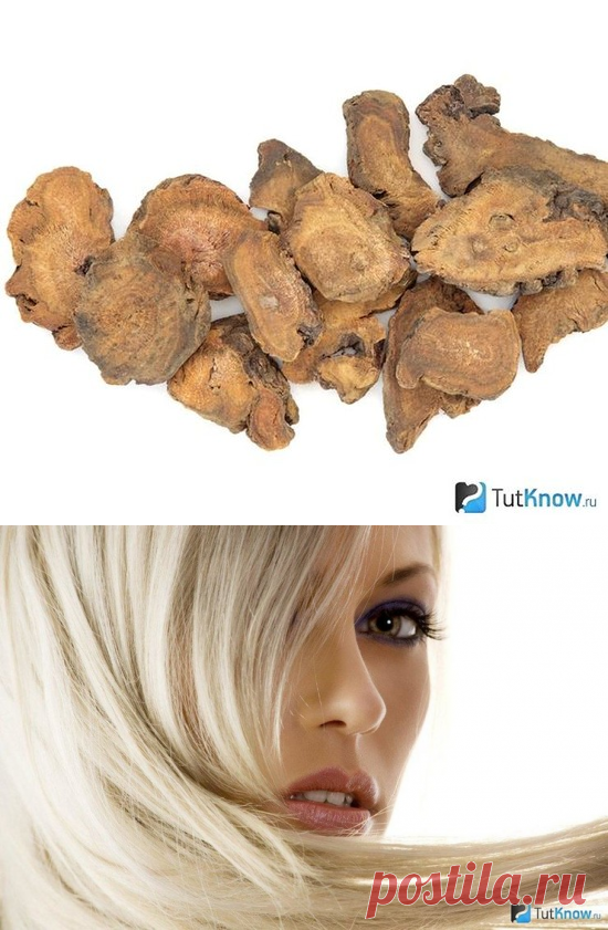 Отвар ревеня: идеальный природный краситель для волос