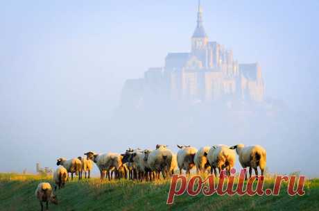 Мон-Сен-Мишель / Фото дня / Моя Планета
