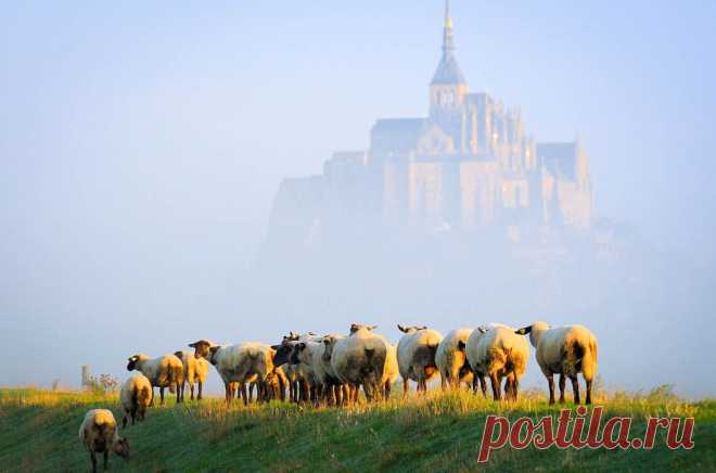 Мон-Сен-Мишель / Фото дня / Моя Планета