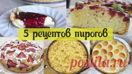 5 рецептов пирогов Всем привет, сегодня подборка пирогов, которые идеально приготовить летом. Они все очень вкусные! И без сомнений порекомендую их все) Начнем со Сметанника. Очень похож по вкусу на чизкейк, но менее жи...
