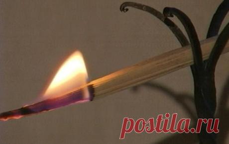 Народные приметы: 17 ноября - Погода на Joinfo.ua