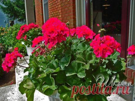 Личный дневник Марина на 24open.ru. Бесплатные блоги на 24open.ru!