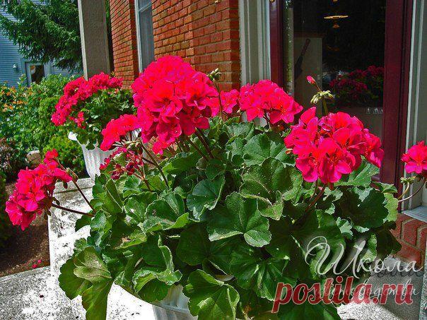 Личный дневник Марина на 24open.ru. Бесплатные блоги на 24open.ru!