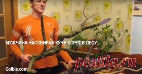 Мужчина насобирал кучу коряг в лесу… Трудно поверить, что из них получается такая красота! 

 

Всегда восхищалась людьми, которые видят в обычных вещах, даже немного безобразных, прекрасное. Столько раз гуляла по лесу, видела уйму коряг, пней, колод, но ни разу не подумала, что из них можн…