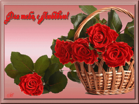 «Оригинальный букет подруге - Бесплатные открытки» — карточка пользователя YURIY1987 в Яндекс.Коллекциях