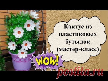 Кактус из пластиковых бутылок для украшения дачного участка (мастер-класс)