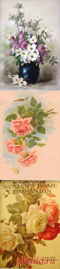 (301) Pinterest