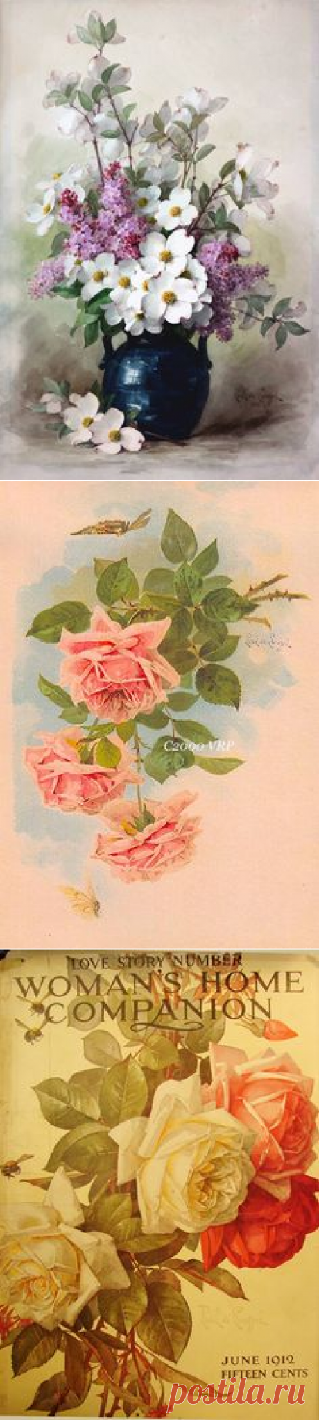(301) Pinterest