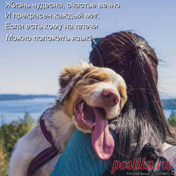 Холмс, вы решили компенсировать сэру Генри потерю собаки Баскервилей?   -   Котоматрица: Раздел "Собачья жизнь"