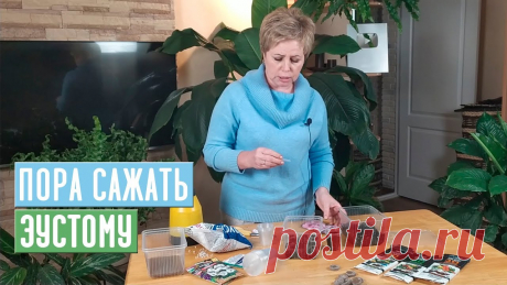 Садовый гид ютуб Блог по вязанию для начинающих и опытных вязальщиц Ваш ресурс номер один для обучения вязанию спицами. Блог, посвященный бесплатным выкройкам, видео по вязанию, пряже и всему, что нужно для этого удивительного хобби.
