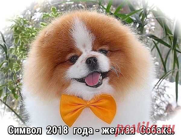 ВОЗЬМИ МЕНЯ НА СТЕНОЧКУ И БУДЕТ ТЕБЕ СЧАСТЬЕ:)